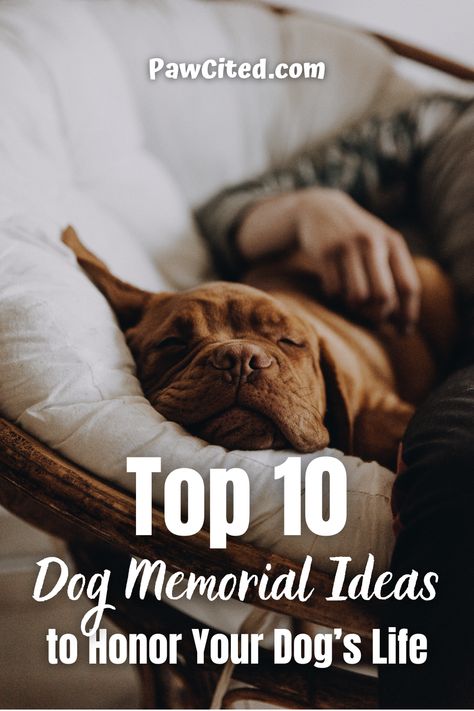 Remembering Dog Ideas, Honor Dog Passing, Ways To Remember Your Dog, Dog Momentos, Dog Memory Ideas, Dog Memorial Ideas, Memory Stones, Memory Ideas, Pet Memory