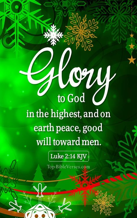 Bible Verse Images, December Scriptures, Christmas Bible Verse, Trust Gods Timing, City Of David, Trust Gods Plan, Peace Christmas, Christmas Verses, Verse Images