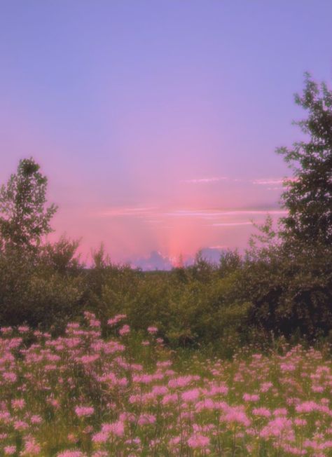 #aesthetic #sunset #flower #nature #edit #cottagecore Pretty Landscapes, Pretty Sky, Pretty Photos, Alam Semula Jadi, Nature Aesthetic, Pretty Places, Sky Aesthetic, Scenery Wallpaper, Fantasy Landscape