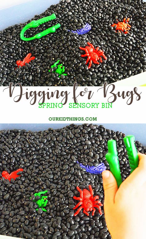 Digging For Bugs Spring Sensory Bin #spring #sensorybin #bugs Bug Themed Sensory Activities, Bug Activities For Infants, Sensory Bin For School Age, Monthly Sensory Bins, Outdoor Sensory Bin Ideas, Spring Sensory Bins For Preschool, Insect Sensory Bin Preschool, May Sensory Bin Ideas, Diy Sensory Bin Table