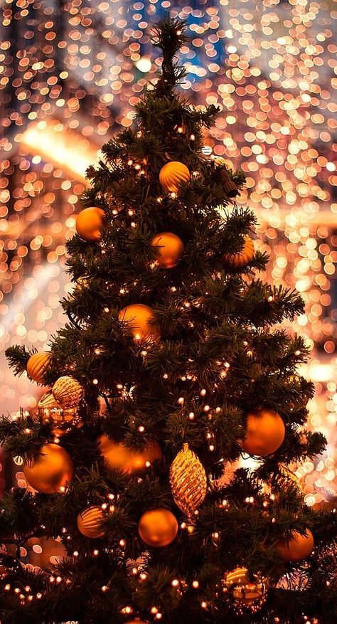 ♥ Classic Christmas Tree, Orange Christmas, Christmas Time Is Here, Christmas Feeling, Christmas Mood, Decorations Christmas, Christmas Love, Christmas Joy, Christmas Background