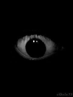 Horror Ambiance, Eye Horror, Gif Dark, Eyes In The Dark, Eyes Gif, Creepy Gif, Creepy Eyes, Spooky Eyes, Eyes Dark