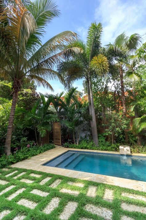 Swimming Pool Design Ideas | Landscaping Ideas and Hardscape Design | HGTV Palm Trees Around Pool, Tropical Backyard Landscaping, Piscina Rectangular, Swimming Pool Landscaping, Hgtv Garden, Tropical Backyard, Living Fence, Pool Landscape, Pool Landscape Design