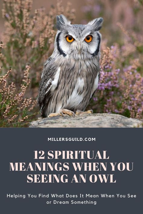 12 Spiritual Meanings When You Seeing an Owl Great Horned Owl Meaning, Great Horned Owl Spiritual Meaning, Owl Totem Meaning, Owl Sighting Meaning, White Owl Meaning, Seeing Owl Spiritual Meaning, Spiritual Meaning Of Owls, Seeing An Owl Meaning, Owl Omen Meaning