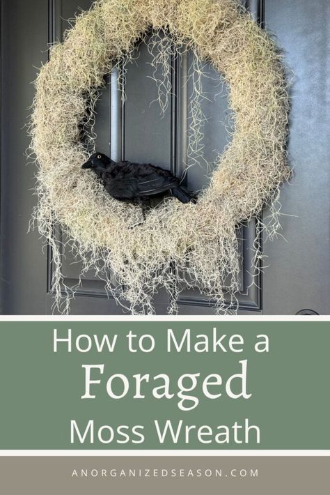 Can you use moss that grows on trees in craft projects? Yes, you can, learn how to clean and make a wreath with foraged Spanish moss. How To Dry Moss For Crafts, Moss Wreath Diy, September Challenge, Make A Wreath, Moss Wreath, Wreath Frame, Diy Wreaths, Scary Halloween Decorations, Spanish Moss