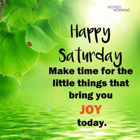 Happy Saturday All! I wish you all a good rest and Sunny mood, harmony in the soul and many wonderful moments. Life is moments and details, live them beautifully! ‍♀️ Saturday Quotes Funny, Happy Saturday Quotes, Saturday Morning Quotes, Happy Saturday Morning, Happy Saturday Images, Saturday Images, Good Morning Happy Saturday, Saturday Quotes, Good Morning Saturday