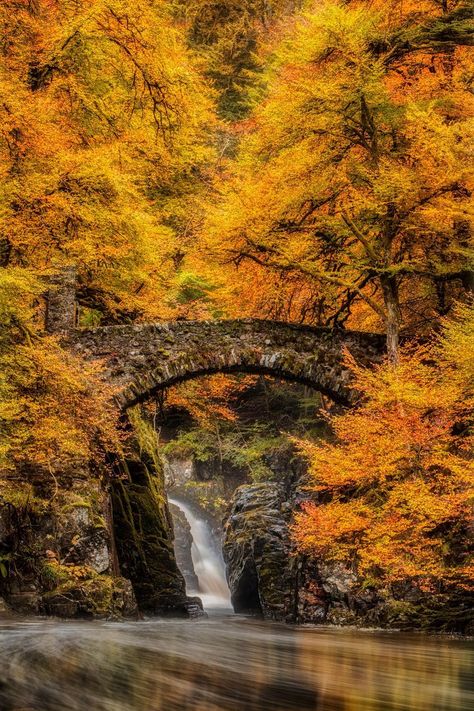 Autumn at the Hermitage, Dunkeld, Scotland Fall In Scotland, Nature Clips, Autumn Poetry, Gods Masterpiece, Scotland Aesthetic, Countryside Aesthetic, Magical Autumn, Hey Pumpkin, Harvest Blessings