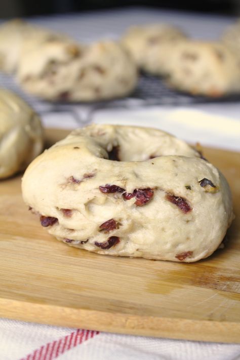 Cranberry Walnut Bagels Cranberry Walnut Bagel Recipe, Cranberry Orange Bagels, Cranberry Bagels Recipe, Cranberry Bagels, Bagel Dough Recipe, Types Of Bagels, Cinnamon Bagels, Bagel Recipes, Bagel Recipe Easy