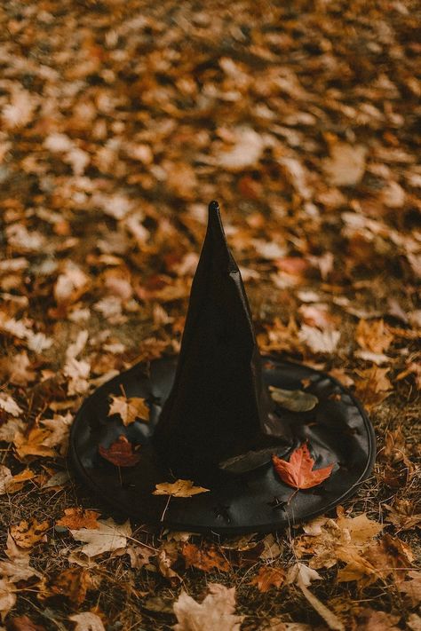 Halloween Imagem, Halloween Fotos, Helloween Wallpaper, Kristina Webb, Herbst Bucket List, Photo Halloween, Image Halloween, Halloween Wallpaper Backgrounds, Fröhliches Halloween