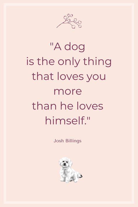 Dog Quote by Josh Billings for all dog lovers. Dog Quotes Love Meaningful Short, Dog Quotes Love Meaningful, Caption Ig, Dogs Quotes, Dog Quotes Love, Dog Quote, Dogs Love, Tough Day, Quotes Love