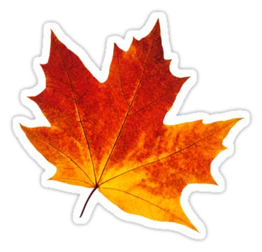 "Autumn maple leaf" Stickers by 6hands | Redbubble Autumn Aesthetic Wallpaper Laptop, Maple Leaf Sticker, Stiker Macbook, Autumn Aesthetic Wallpaper, Leaf Sticker, Tumblr Stickers, Wallpaper Laptop, Autumn Stickers, 수채화 그림