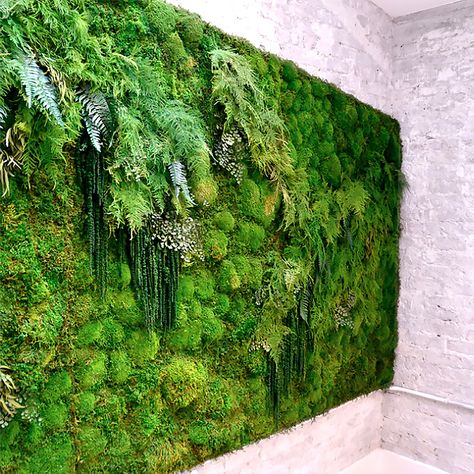 Mos Wand, Jardin Vertical Artificial, Vertical Garden Indoor, Vertical Vegetable Garden, Vertical Garden Wall, Vertical Garden Diy, Desain Lanskap, Moss Wall Art, Moss Garden