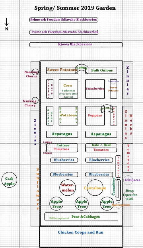 Plan Potager, Funny Vine, Self Sufficiency, Garden Layout Vegetable, Garden Storage Shed, Garden Design Layout, Vegetable Garden Design, Back Gardens, Garden Layout