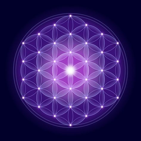 Flower Of Life Meaning, Egg Of Life, Flower Of Life Symbol, The Flower Of Life, Sacred Geometry Symbols, Flower Symbol, Fibonacci Spiral, Geometric Symbols, Platonic Solid