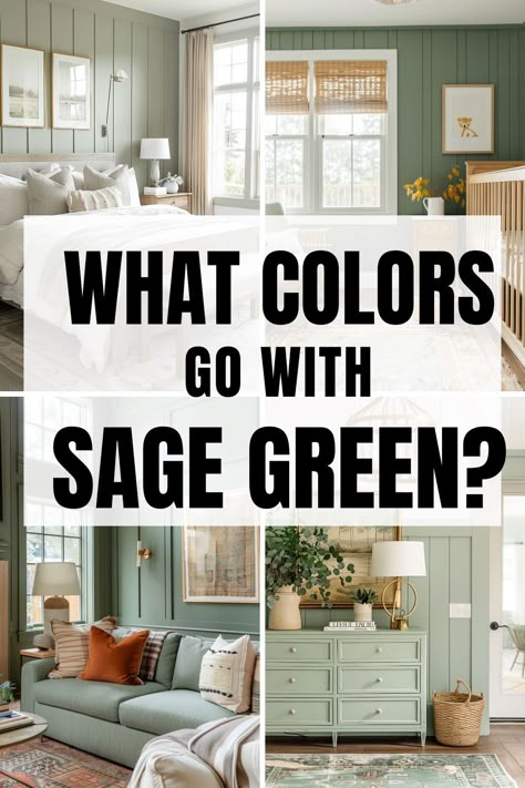 Are you struggling to find what colors go with sage green in the home? Whether you are looking to pair a color with your bedroom, cabinets, walls, living room or even exterior of the home, we've got you covered! Discover the best color combinations to pair with sage green in the home to make your design stand out and look flawless. Sage Green And Accent Colors, Sage And Turquoise Living Room, Sage Green Feature Wall Kitchen, Sage And Silver Living Room, Sage Green And Neutral Color Palette, Sage And Gold Home Decor, Shades Of Green For Living Room, Wall Color For Sage Green Cabinets, Green Paint Dining Room Ideas