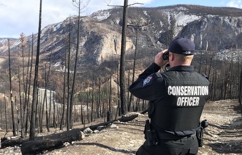 If you wish to find out how to become a conservation officer in Canada, this post will let you know all the steps involved in the way, including its prospects, average salary, job responsibilities, and more. Generally speaking, conservation officers are one of the in demand and top paying occupations in Canada. British Columbia, Manitoba, […] The post How to Become a Conservation Officer in Canada in 8 Steps appeared first on Work Study Visa. Conservation Officer, Canada British Columbia, Cpr Certification, Yukon Territory, Safety Courses, Work Study, Job Board, Job Opening, Effective Communication