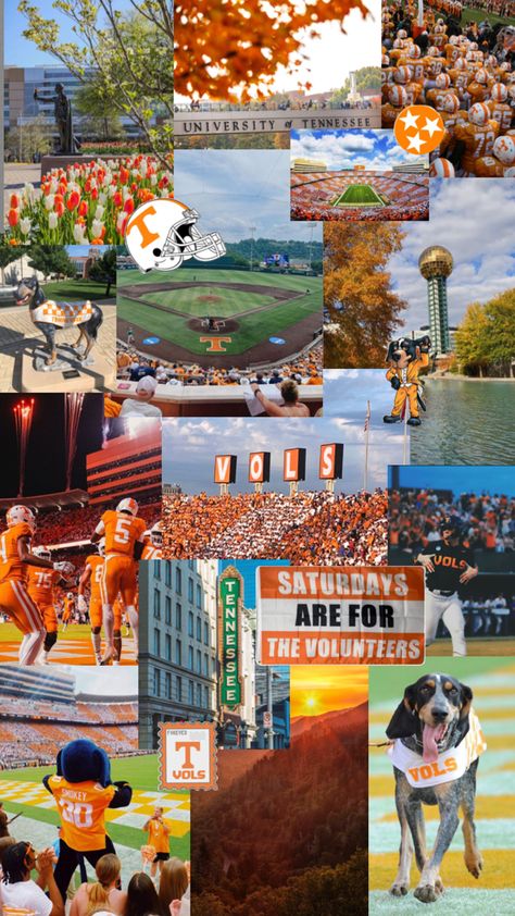 utk university of tennessee knoxville collage wallpaper campus college neyland stadium SEC smokey moodboard america south football baseball University Of Tennessee Aesthetic Wallpaper, Tennessee Backgrounds, Tennessee Wallpaper, Tennessee College Football, Univ Of Tennessee, Tn Vols Football, Football Collage, Tennessee College, Tennessee Baseball