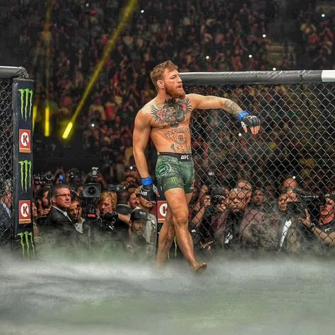 Coner Megrager, Connor Mcgregor Wallpaper, Conor Mcgregor Aesthetic, Corner Mcgregor, Conor Mcgregor Nate Diaz, Connor Macgregor, Conor Macgregor, Ufc Wallpaper, Conor Mcgregor Wallpaper