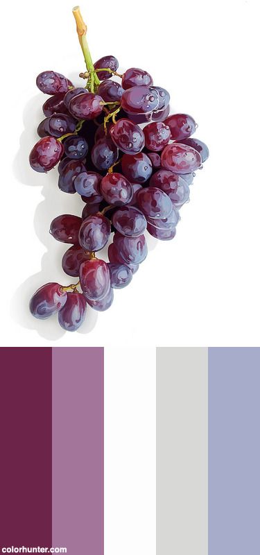 Grapes+Color+Scheme Grape Color, Color Palette Design, Color Scheme, Color Schemes, Grapes, Color Palette, Fruit, Color, Design