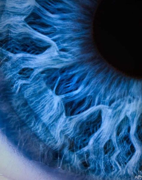 Macro Photography Eyes, Macro Fotografie, Blue Eyes Aesthetic, Photographie Art Corps, Close Up Art, Foto Macro, Macro Photography Nature, Iris Art, Eye Close Up