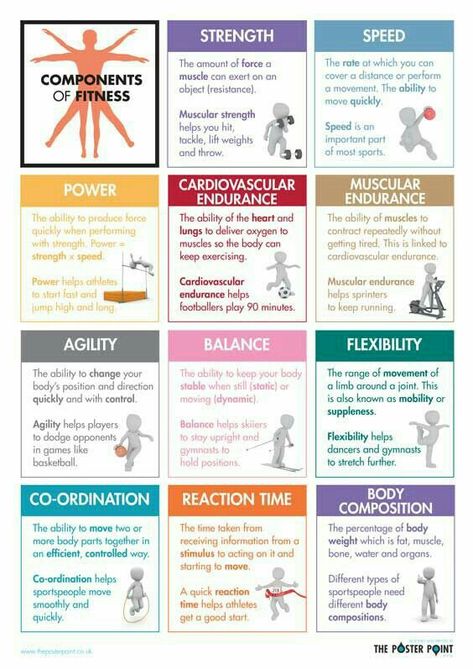 Routines Ideas, Components Of Fitness, Male Motivation, Gcse Pe, Fitness Couples, Fitness Poster, Model Workout, Physical Education Lessons, Elementary Pe