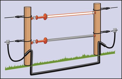 How to set up electric fencing for cattle and sheep | AHDB Electric Fence Ideas, Farm Fencing, Livestock Fence, Electric Fencing, Fence Gates, Horse Farm Ideas, Barn Hacks, Deer Fence, Metal Gate