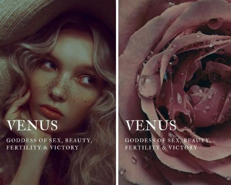 Venus Quotes Goddess, Venus Name Meaning, Venus Roman Goddess, Venus Goddess, Goddess Names, Gods Goddesses, Greek Names, Greek Mythology Gods, Greek Mythology Tattoos