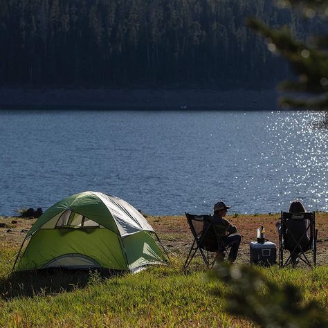 Coleman Sundome Camping Tent, 2/3/4/6 Person Dome Tent with Easy Setup, Included Rainfly and Weathertec Floor to Block Out Water, 2 Windows and 1 Ground Vent for Air Flow with Charging E-Port Flap Tent Storage, Tent Room, Coleman Camping, 4 Person Tent, Best Tents For Camping, Palm Green, Waterproof Tent, Backpacking Tent, Family Tent