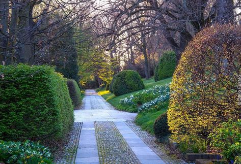 Dario Fusaro on Instagram: “Private garden in Moncalieri, restored by Paolo Pejrone #gardeninspiration #instagarden #instanature #instanaturelovers #gardensofinstagram…” Paolo Pejrone, Private Garden, Driveway, Garden Inspiration, On Instagram, Instagram, Nature