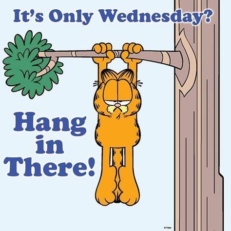 Hang In There Quotes, Garfield Quotes, Wednesday Greetings, Garfield Pictures, Garfield Images, Funny Cartoon Images, Wednesday Humor, Garfield Cartoon, Happy Wednesday Quotes