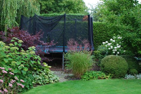 Garden Trampoline, Backyard Trampoline, Have Inspiration, Backyard Inspiration, Backyard Playground, Trampolines, Backyard Garden Design, Garden Landscape Design, Dream Backyard