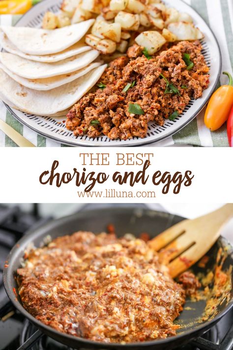 Spicy and rich chorizo and eggs make the yummiest way to start your day! Serve them with tortillas for a classic Mexican breakfast. #chorizoandeggs #chorizo #spicychorizoandeggs #breakfast #spicychorizo Chorizo Breakfast, Chorizo And Eggs, How To Cook Chorizo, Food Type, Chorizo Recipes, Mexican Breakfast Recipes, Mexican Breakfast, Tacos And Burritos, Homemade Tortillas