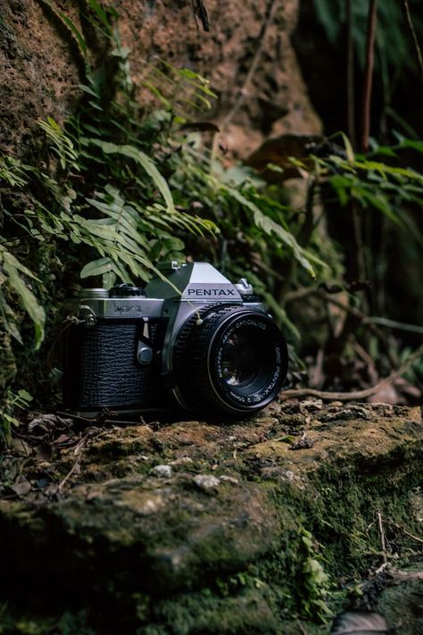 Old Nature Photography, Old Camera Photography, Nature Photographer Aesthetic, Wildlife Photographer Aesthetic, Green Camera Aesthetic, Avatar Moodboard, Old Cameras Aesthetic, Dragon Photography, Sister Aesthetic