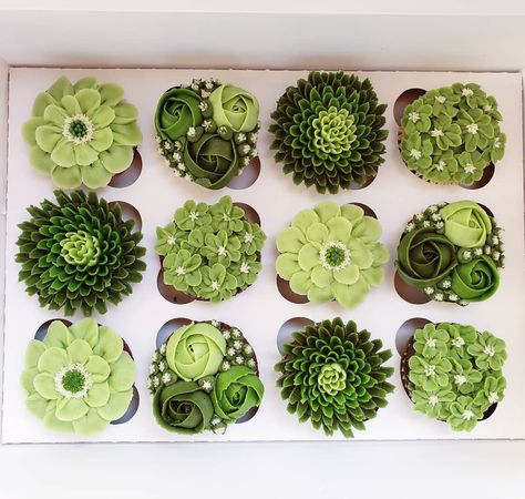 Green Flower Cupcakes, Happy Cupcakes, Succulent Cakes, Chocolate Wedding Cakes, Succulent Cupcakes, Cake Decorating Flowers, Succulent Cake, Green Cupcakes, Cupcake Bouquets