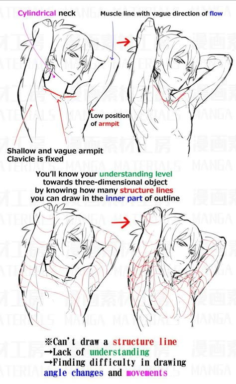 Manga Materials on Twitter: "How to draw armpit ④ The reasons why armpit are hard to draw.… " Anime Anatomy, Manga Tutorial, Výtvarné Reference, Drawing Body Poses, Anatomy Tutorial, 남자 몸, Different Poses, Anatomy Poses, Body Reference Drawing