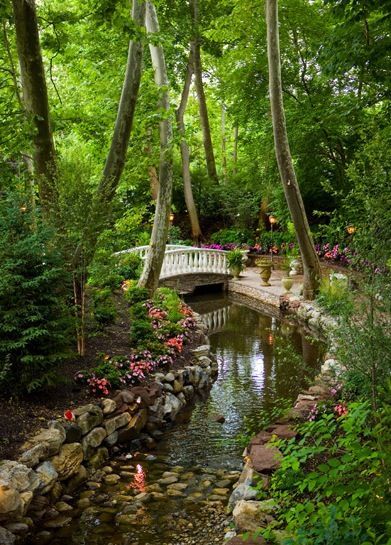 Beautiful Parks Garden, Park Ideas Design, Forest Garden Design, Park Aesthetic, Beautiful Parks, Art In The Park, Outdoor Park, Garden Wedding Venue, Garden Park