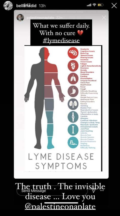 Bella Hadid Lyme, Lyme's Disease Symptoms, Lyme Desiese Symptoms, Bartonella Symptoms, Lyme Symptoms, Lyme Diet, Lymes Disease, Disease Quote, Np School