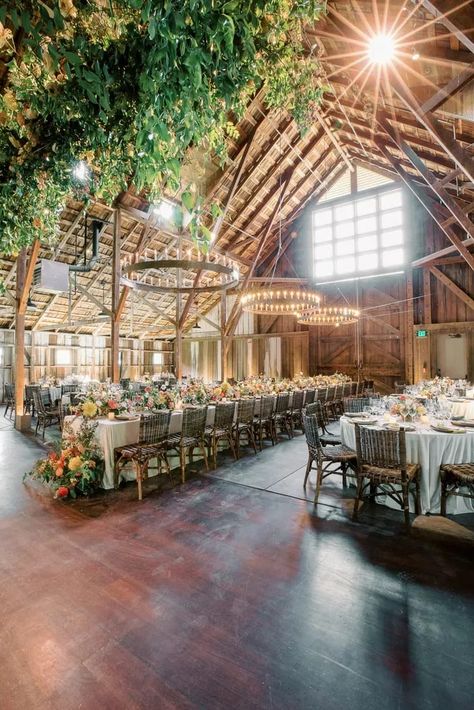 Barn Wedding Reception With Chandeliers at Santa Lucia Preserve in Carmel Valley, California Santa Lucia Preserve Wedding, Carmel By The Sea Wedding Venues, Carmel Valley Wedding, Santa Lucia Preserve, Cocktail Hour Decor, Carmel Weddings, Romantic Rustic Wedding, Barn Wedding Reception, Wedding Planner App