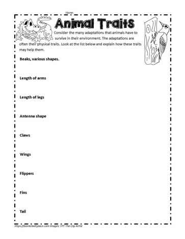 Animal Traits Inherited Traits, Animal Traits, Physical Traits, Intervention Specialist, Ngss Science, Classroom Anchor Charts, Learned Behaviors, Help Animals, Energy Transfer