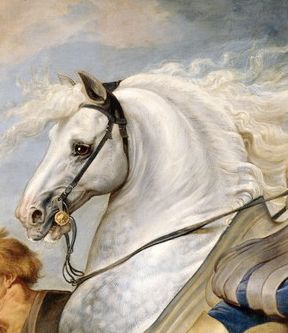 Baroque Horse | Heads thenm mostly with long-shanked curb-bits Baroque Horse, Paul Rubens, Horse Posters, Horse Artwork, Peter Paul Rubens, Historical Painting, Horse Drawings, Equine Art, Vintage Horse