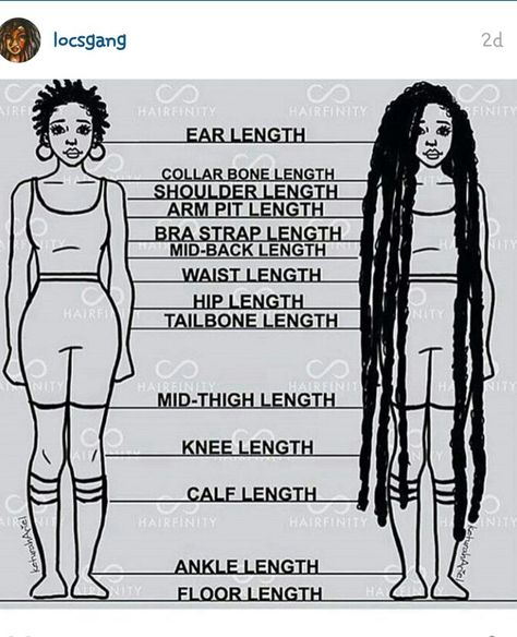 Loc length guide Tailbone Hair Length, Mid Length Loc Styles, Tailbone Length Hair, Uncut Hair, Wig Tutorials, Loc Appreciation, Nubian Locs, Quotes Rainbow, Hair Chart