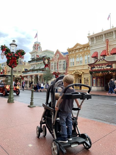 Best Stroller for Disney World • WDW Vacation Tips Best Stroller For Disney World, Stroller For Disney World, Disney Stroller Rental, Disney Stroller, Strollers At Disney World, Best Stroller, Disney Cheap, Best Double Stroller, Stroller Reviews