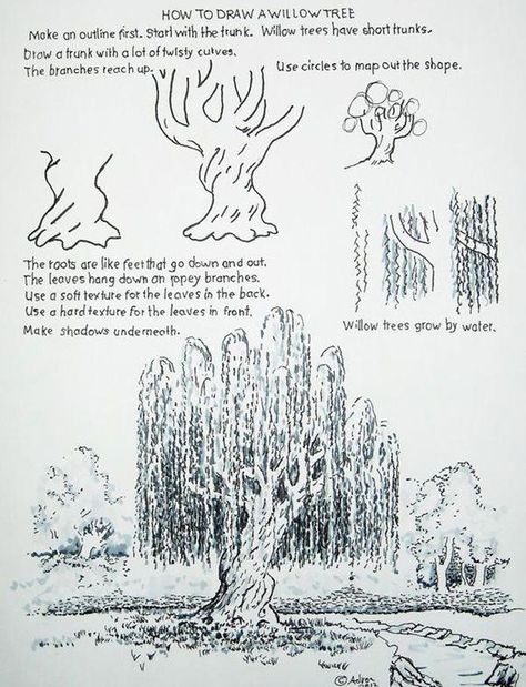 Draw A Tree, A Willow Tree, Tree Drawing, Landscape Drawings, Art Instructions, Willow Tree, Urban Sketching, Drawing Lessons, Chiaroscuro