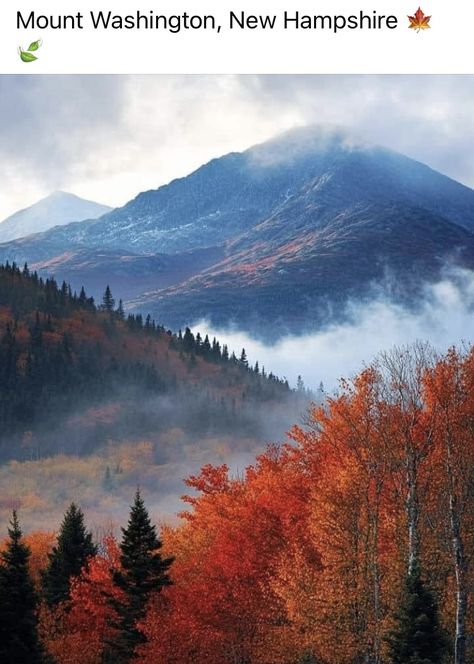 Mount Washington New Hampshire, Mount Washington, Take A Hike, Mountain Man, Road Trip Usa, New Hampshire, Nature Beauty, Hampshire, Photo Art