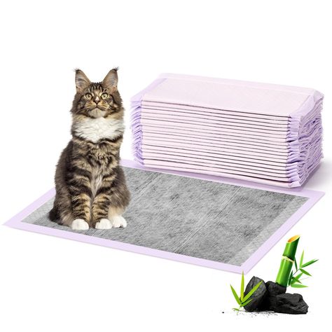 PRICES MAY VARY. For TIDY CATS Litter Box: 20 Count; The cat pads perfectly compatible with Tidy Cats Breeze Litter Box (XL Hooded Original); The size of each litter box pad is 16.9" x 11.4" (43 x 29 cm); These economical cat pee pads offer a low-cost alternative to breeze litter pad compatible products Super Absorbent Polymers: Cat litter pads have a 6-Layer thickened design and a super absorbent SAP core to help absorb liquid better; Each pet pee pads for cats can absorb 2-3 days of urine for Tidy Cat Litter, Tidy Cats, Cat Pad, Cat Litter Mat, Litter Mat, Cat Pee, Pet Care Tips, Cat Litter Box, Activated Carbon