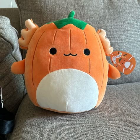 Nwt Pumpkin Axolotl “Gabin” 10” Squishmallow Halloween. Send Me An Offer Cute Squshmellows, Spooky Stuffed Animals, Squish Mellows Big, Squishmallow Kandi, Pompompurin Squishmallow, Orange Squishmallow, Halloween Stuffed Animals, Squishy Mellows, Rare Squishmallows