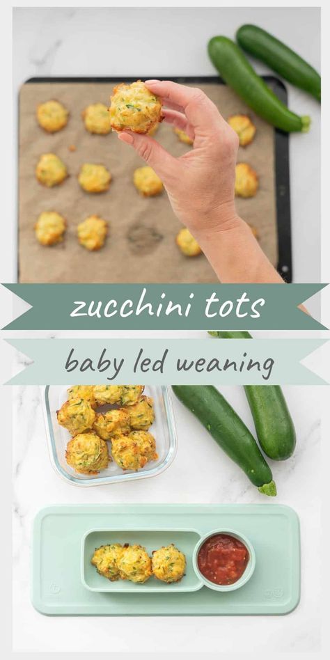 Zucchini Tots, Weaning Foods, Zucchini Bites, Easy Baby Food Recipes, Snack Lunch, Baby Led Weaning Recipes, Healthy Baby Food, Tracker Free, Baby First Foods