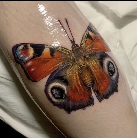 Colorful Butterfly Hand Tattoo, Painted Lady Tattoo Butterfly, Huge Butterfly Tattoo, Butterfly Realism Tattoo, Hummingbird Moth Tattoo, Realistic Butterfly Tattoo, Tattoos Colorful, Tattoo Fixes, Hirsch Tattoo