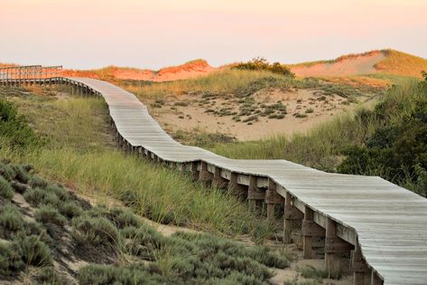 25 Things To Do in Newburyport and Plum Island with Kids Plum Island, Kids Things To Do, Family Destinations, Travel Outdoors, Perfect Family, In Boston, Outdoor Adventures, Outdoor Adventure, East Coast