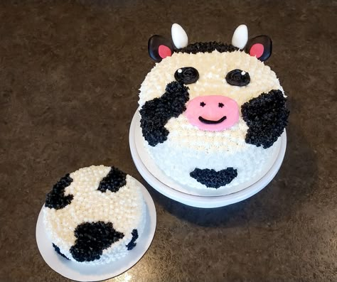 Cow cake and smash cake Smash Cake Cow Print, Cow Cake Smash 1st Birthdays, Cow Smash Cake First Birthdays, Diy Cow Smash Cake, Cow Birthday Smash Cake, Cow Print Smash Cake Girl, Cow Themed Smash Cake, Simple Cow Cake, Holy Cow I’m One Cake Ideas